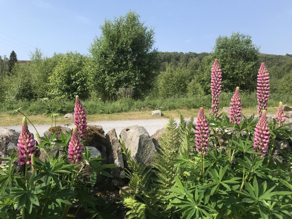 The Struan Inn Self Catering Lodge Exteriér fotografie