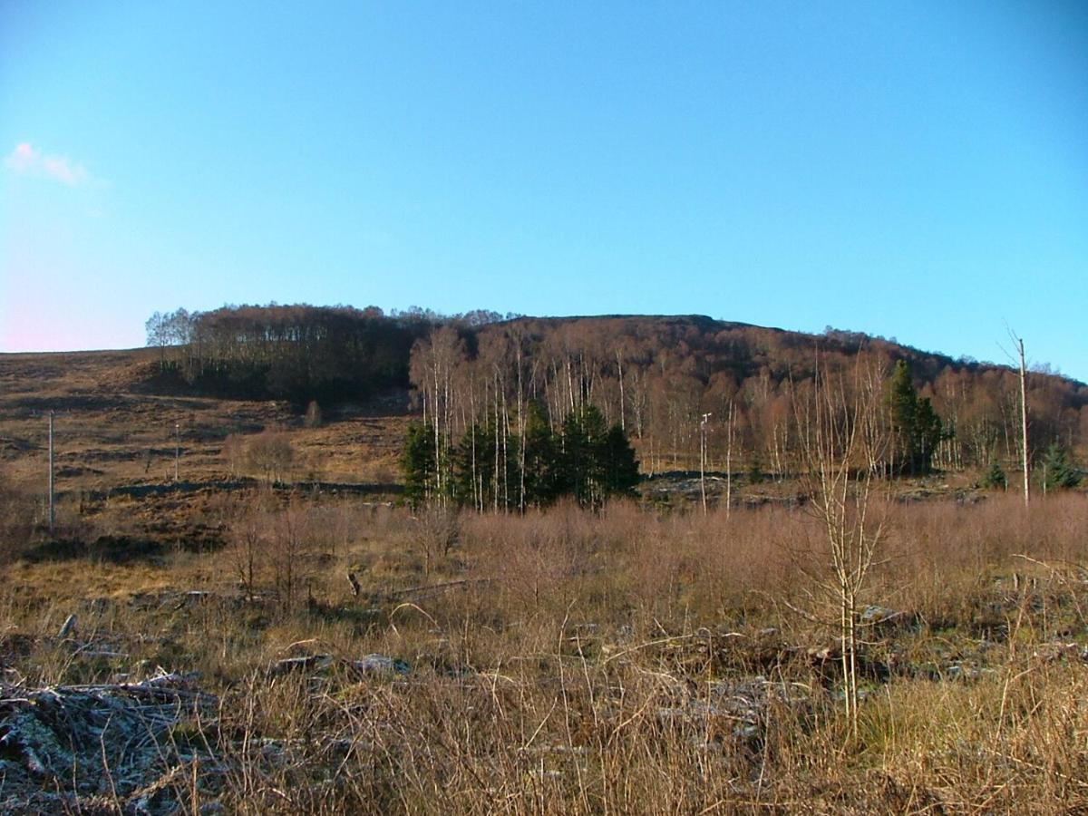 The Struan Inn Self Catering Lodge Exteriér fotografie